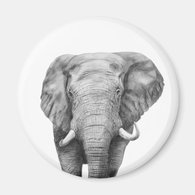 Back Up Plan IV Magnet (Front)