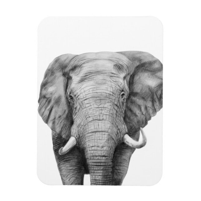 Back Up Plan IV Magnet (Vertical)