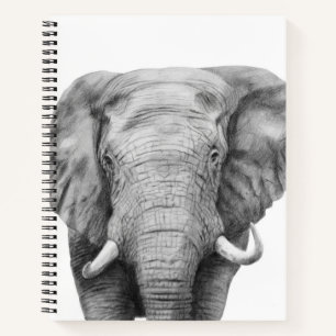 Back Up Plan IV Notebook