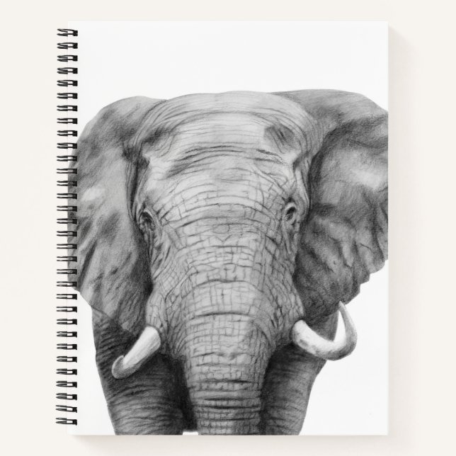 Back Up Plan IV Notebook (Front)