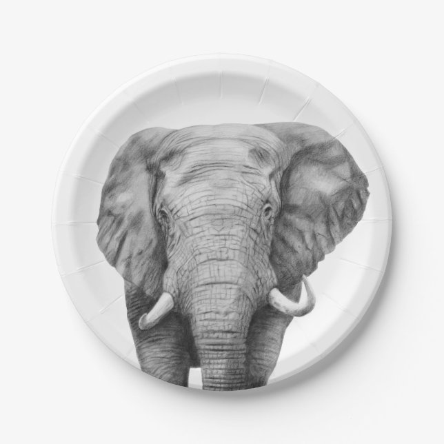 Back Up Plan IV Paper Plates (Front)