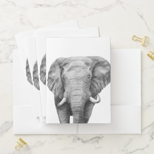 Back Up Plan IV Pocket Folder (In Situ)