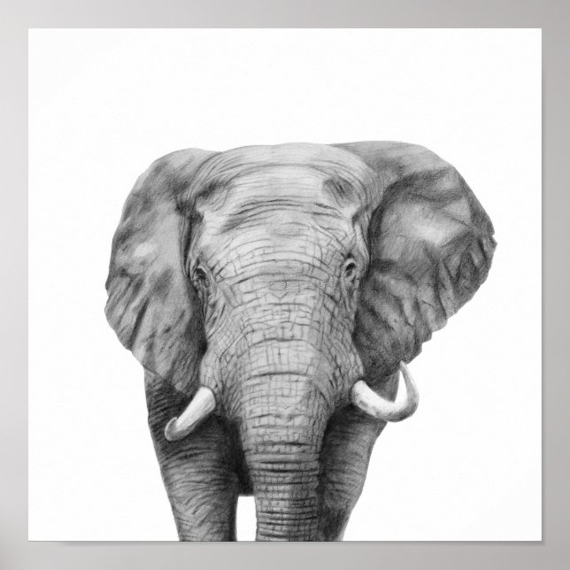 Back Up Plan IV Poster (Front)