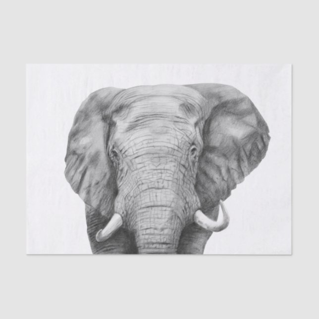 Back Up Plan IV Tissue Paper (Front)