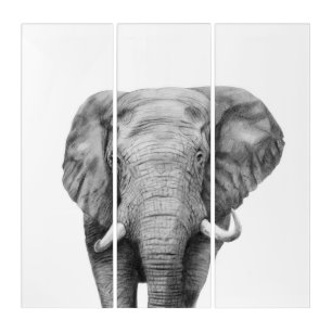Back Up Plan IV Triptych
