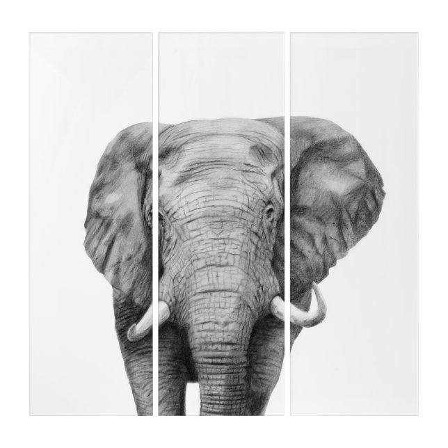 Back Up Plan IV Triptych (Front)