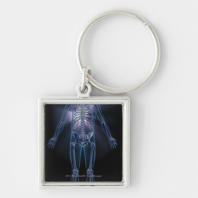 Back view of a human skeleton keychain (Front)