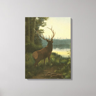 Back view of Elk Looking over a Lake Canvas Print