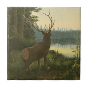 Back view of Elk Looking over a Lake Ceramic Tile