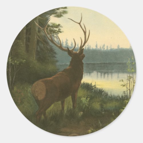 Back view of Elk Looking over a Lake Classic Round Sticker