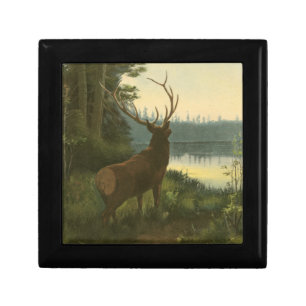 Back view of Elk Looking over a Lake Gift Box