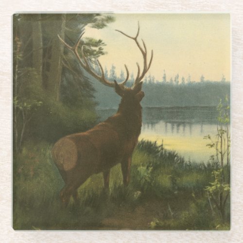 Back view of Elk Looking over a Lake Glass Coaster