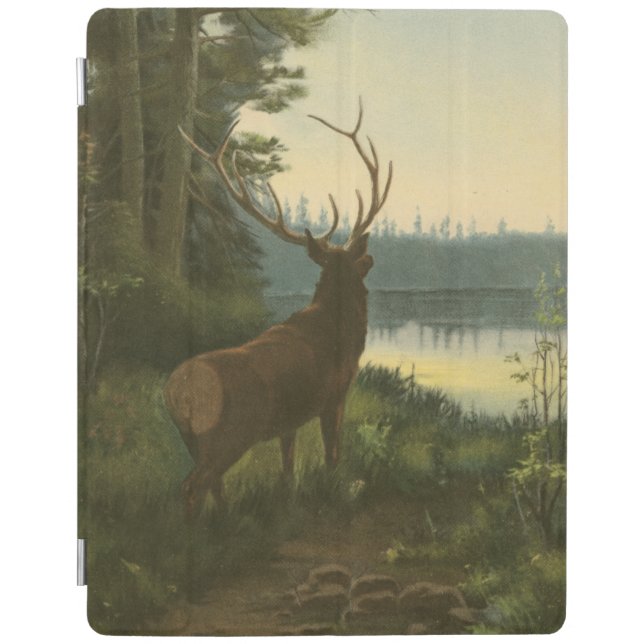 Back view of Elk Looking over a Lake iPad Smart Cover (Front)