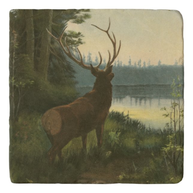 Back view of Elk Looking over a Lake Trivet (Front)