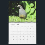 Back Yard Birds!  Bird Watcher  CALENDAR<br><div class="desc">Up in the Pacific Northwest in the eastern corner of Washington state,  we have a variety of beautiful backyard birds.</div>