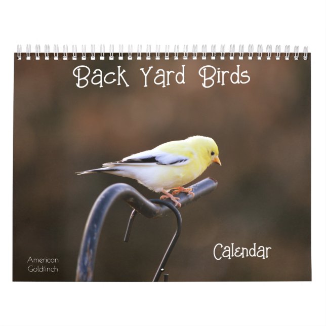 Back Yard Birds Calendar (Cover)