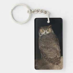 Back yard Great Horned Owl Keychain
