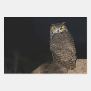 Back yard Great Horned Owl Wrapping Paper Sheets