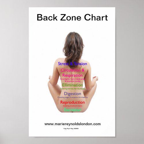 Back Zone Chart