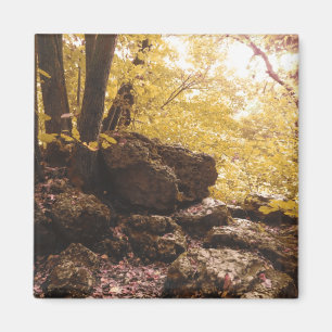 backbone state park iowa magnet