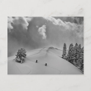 Backcountry Ski Climbers in fresh powder Postcard