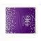 Backdrop 90th Birthday Silver Purple Confetti
