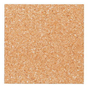 Backdrop background blank board faux canvas print