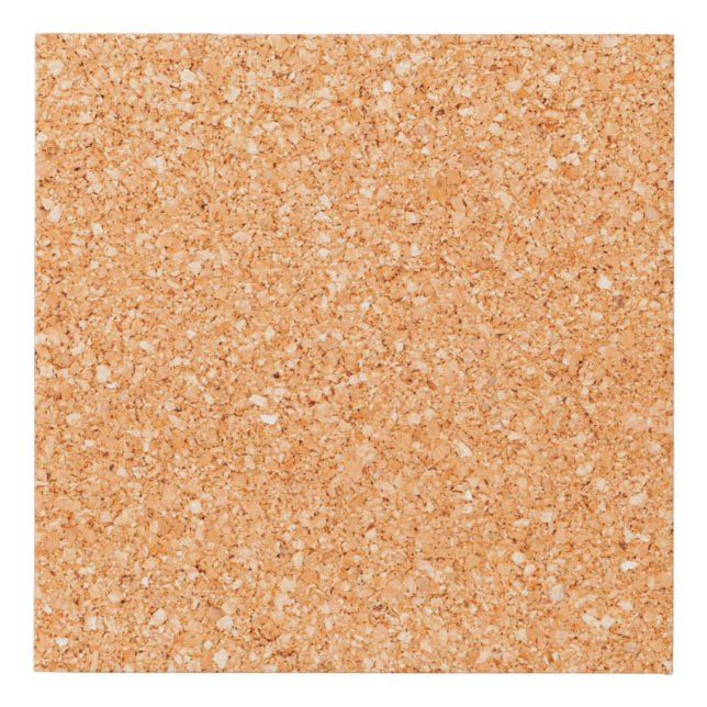 Backdrop background blank board faux canvas print (Front)