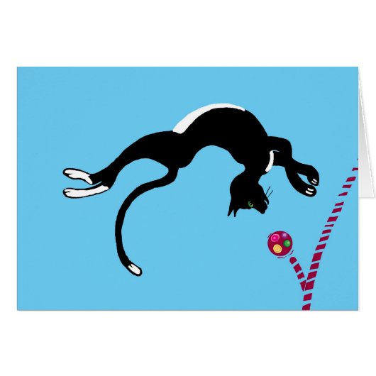Backflip cat cards (Front Horizontal)