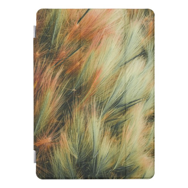 Background Abstract iPad Pro Cover (Front)