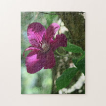 background, blossom, flower, nature, summer,