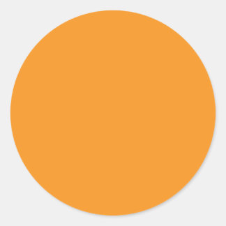 Background Color - Orange Classic Round Sticker