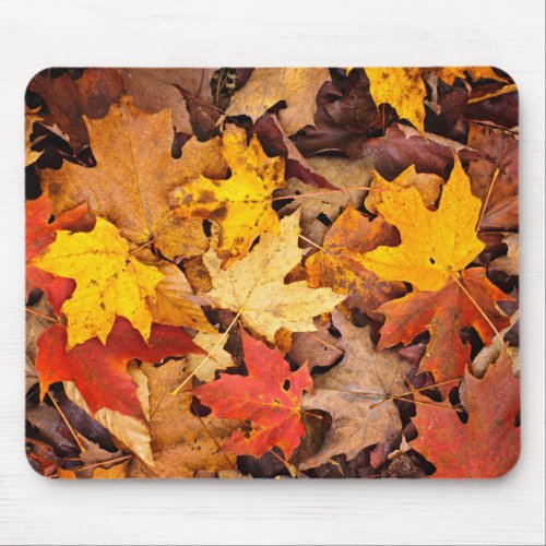 Background Of Colorful Autumn Leaves On Forest Mouse Pad