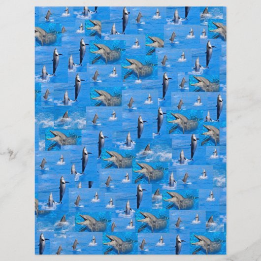 Background of multiple dolphins (Front)