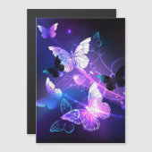 Background with Night Butterflies (Front/Back)