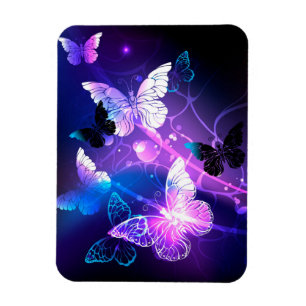 Background with Night Butterflies Magnet