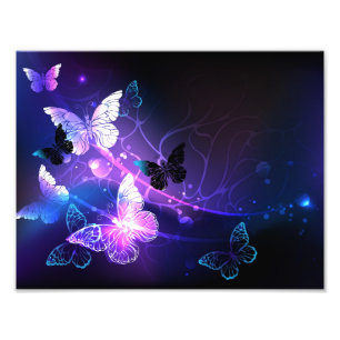 Background with Night Butterflies Photo Print