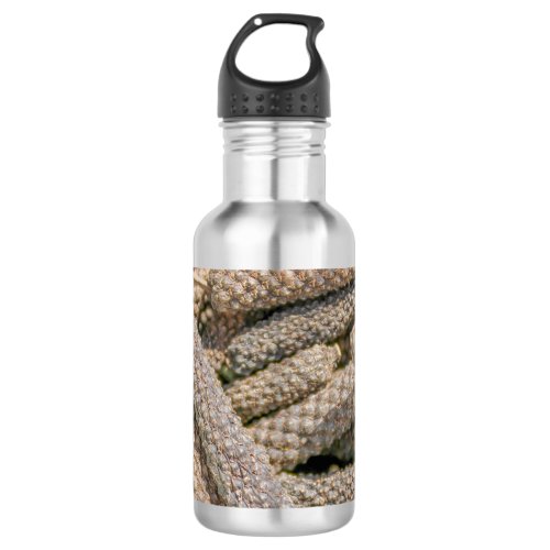 background with seed stainless steel water bottle