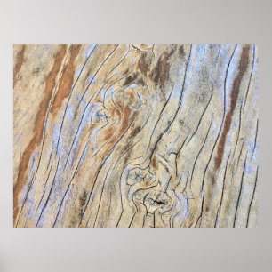 Background wooden texture graphic designabstract, poster