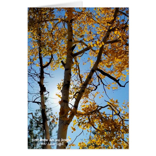 Backlit Aspen Tree Fall Foliage Blue Sky Arizona Cards (Front)