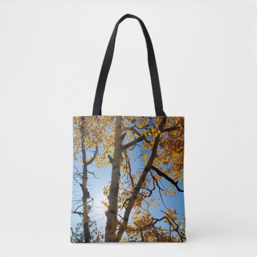 Backlit Aspen Tree  Yellow Fall Foliage Blue Sky Tote Bag