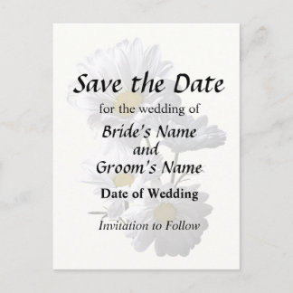 Backlit Daisies Announcement Postcard
