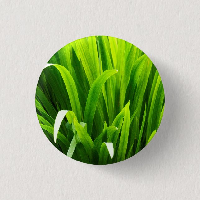 Backlit Leaves in Garden Pinback Button (Front)