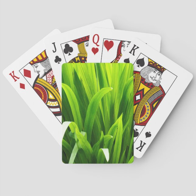 Backlit Leaves in Garden Poker Cards (Back)