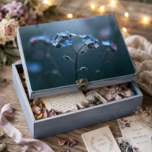 Backlit Midnight Blue Forget-Me-Not