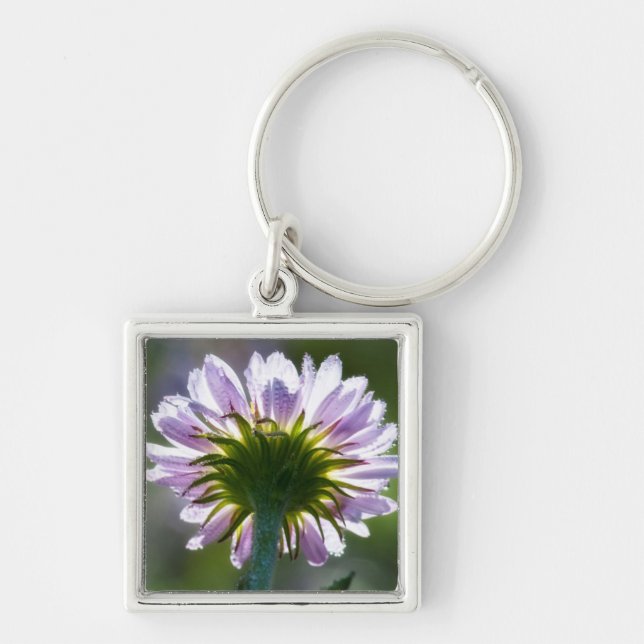 Backlit Purple Wildflower With Dewdrops Keychain (Front)