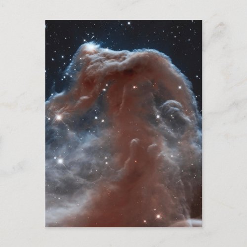 Backlit wisps along the Horsehead Nebulas  Postcard