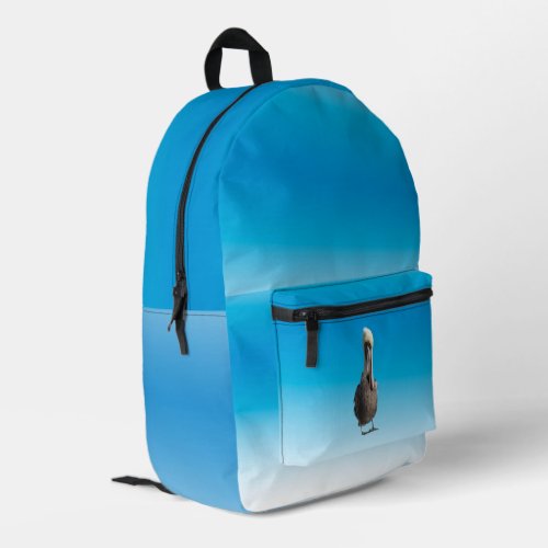 Backpack ao _ Pelican