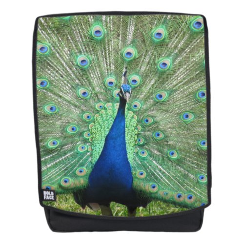 Backpack _ Peacock