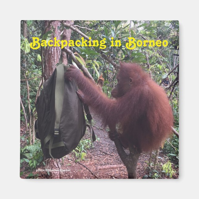 Backpacking Borneo Orangutan Magnet (Front)